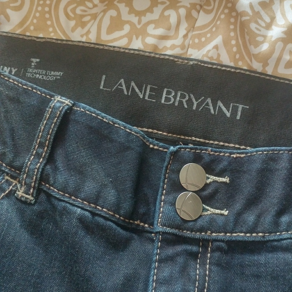 LANE BRYANT STRETCHY SKINNY